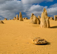 The Pinnacles Sea and Dunescapes Bush Reserve and Sunset Day Tour - Port Augusta Accommodation