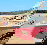 1770 Coastline Tour by LARC Amphibious Vehicle Including Picnic Lunch - Port Augusta Accommodation