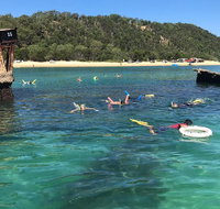 All Inclusive Dolphin and Tangalooma Wrecks Cruise - Port Augusta Accommodation