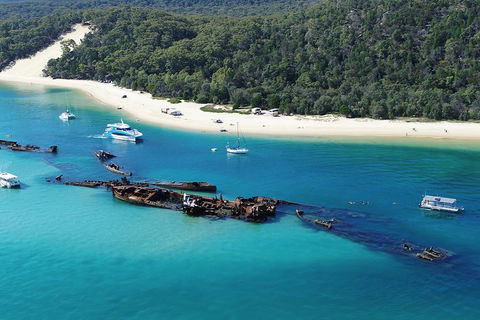 All Inclusive Tangalooma Wrecks Cruise Tour From Gold Coast - Port Augusta Accommodation 0