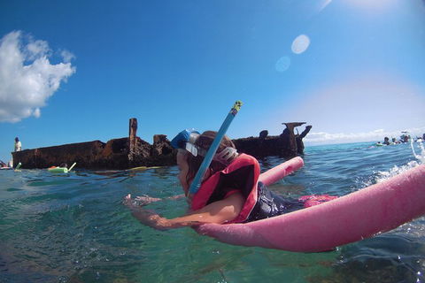All Inclusive Tangalooma Wrecks Cruise Tour From Gold Coast - Port Augusta Accommodation 3