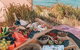 A Picnic In Byron Bay - thumb 5