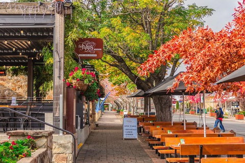 Full-Day Tour In South Australia Highlights - Port Augusta Accommodation 2