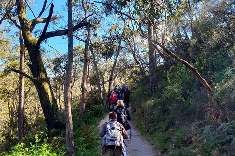 Self-Guided Waterfall Gully To Mount Lofty Hike From Adelaide - Port Augusta Accommodation 1