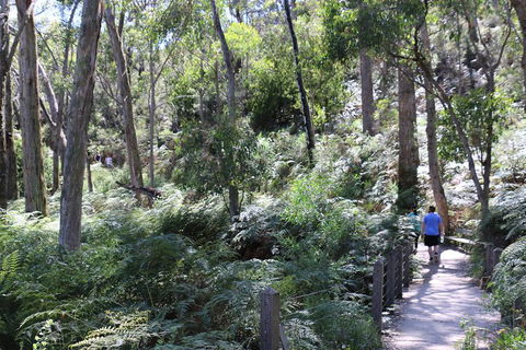 Self-Guided Waterfall Gully To Mount Lofty Hike From Adelaide - Port Augusta Accommodation 2