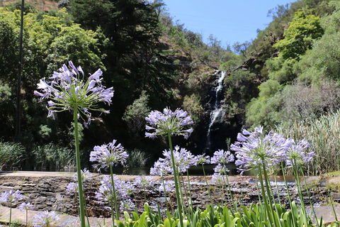 Self-Guided Waterfall Gully To Mount Lofty Hike From Adelaide - Port Augusta Accommodation 3
