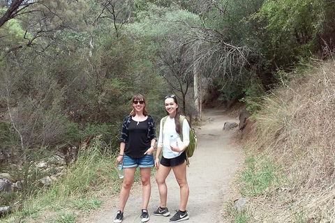 Self-Guided Waterfall Gully To Mount Lofty Hike From Adelaide - Port Augusta Accommodation 4