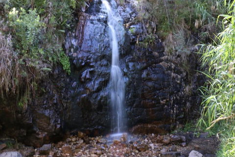Self-Guided Waterfall Gully To Mount Lofty Hike From Adelaide - Port Augusta Accommodation 5