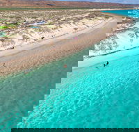 Ningaloo in a Day - Full Day Hike and Snorkel Tour with Lunch - Port Augusta Accommodation