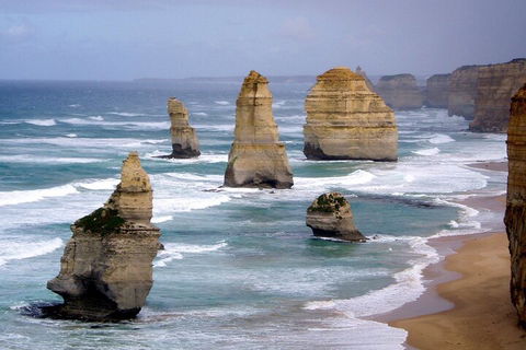 LGBT+ Friendly 2 Day Private Tour Great Ocean Road + Phillip Island - Port Augusta Accommodation 0