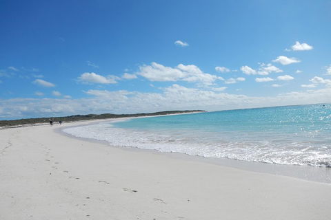Shipwreck Special Nature Tour/Half Day Tour - Port Augusta Accommodation 0