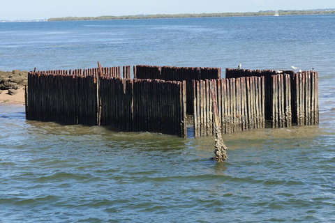 Best Of Moreton Bay Cruise - Port Augusta Accommodation 1