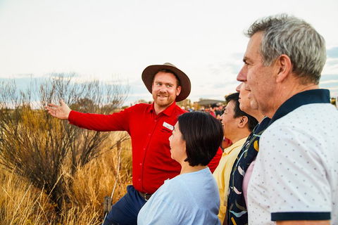 Uluru (Ayers Rock) Sunset With Outback Barbecue Dinner And Star Tour - Port Augusta Accommodation 3