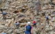 Rock Climbing At The Kangaroo Point Cliffs In Brisbane - thumb 2