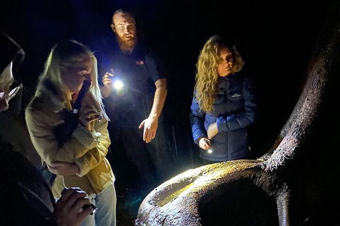 Evening Rainforest & Glow Worm Experience - Port Augusta Accommodation 2