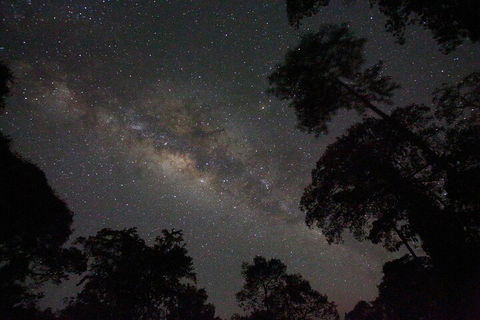 Evening Rainforest & Glow Worm Experience - Port Augusta Accommodation 4