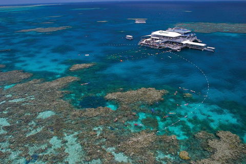 Ultimate 3-Day Great Barrier Reef Cruise Pass - Port Augusta Accommodation 3