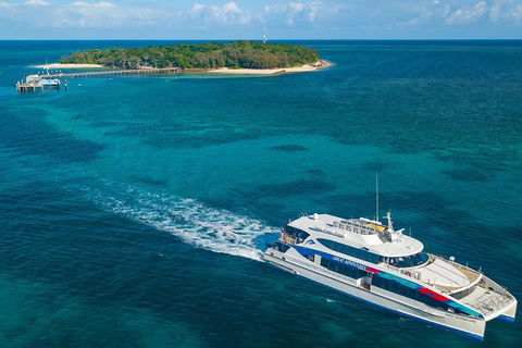 Ultimate 3-Day Great Barrier Reef Cruise Pass - Port Augusta Accommodation 4
