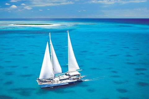 Ultimate 3-Day Great Barrier Reef Cruise Pass - Port Augusta Accommodation 5