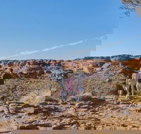 The Amazing Kings Canyon 4-Hours Walking Tour and Hike - Port Augusta Accommodation