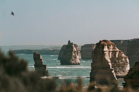 Half-Day Or Full-Day Tour With Private Guide From Melbourne - Port Augusta Accommodation 0