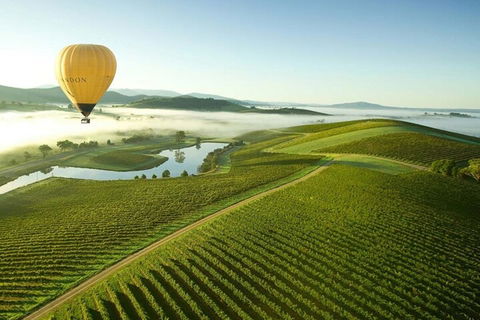 Half-Day Or Full-Day Tour With Private Guide From Melbourne - Port Augusta Accommodation 4
