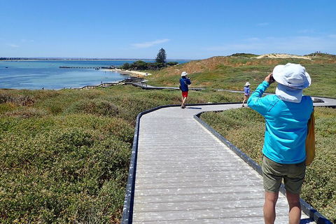 Penguin And Seal Islands Sea Kayaking Experience - Port Augusta Accommodation 1