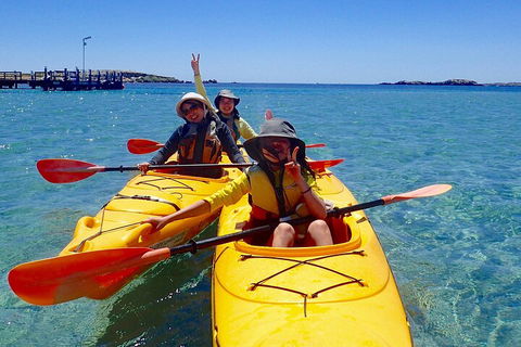 Penguin And Seal Islands Sea Kayaking Experience - Port Augusta Accommodation 4