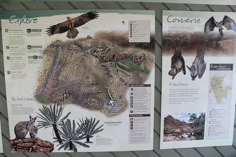 Jumping Crocodile Cruise And Berry Springs Nature Park - Port Augusta Accommodation 2