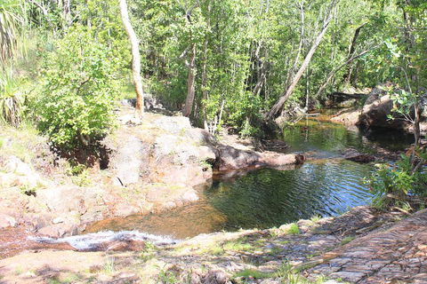 Jumping Crocodile Cruise And Berry Springs Nature Park - Port Augusta Accommodation 3