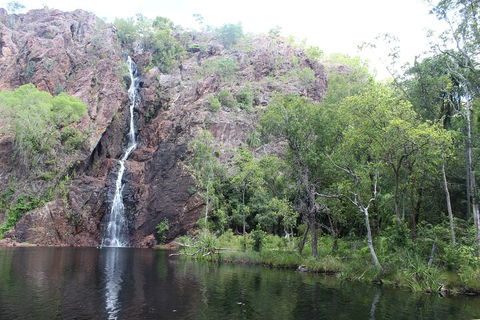 Jumping Crocodile Cruise And Berry Springs Nature Park - Port Augusta Accommodation 5