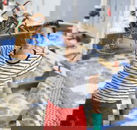 Pinnacles Desert Koalas and Sandboarding 4WD Day Tour from Perth - Port Augusta Accommodation