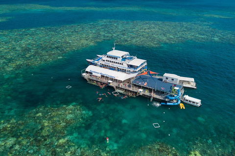 Cruise To Moore Reef Pontoon And Return Helicopter Flight From Cairns - Port Augusta Accommodation 2