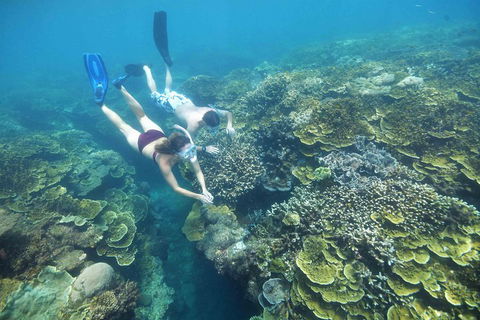 Cruise To Moore Reef Pontoon And Return Helicopter Flight From Cairns - Port Augusta Accommodation 3