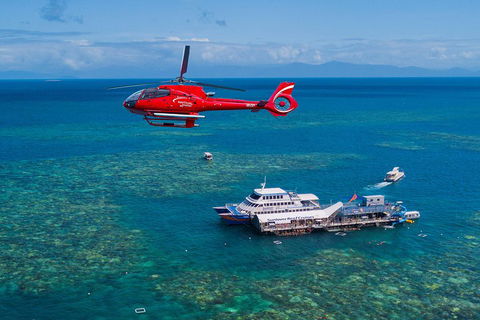 Cruise To Moore Reef Pontoon And Return Helicopter Flight From Cairns - Port Augusta Accommodation 4
