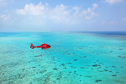 Ultimate Great Barrier Reef And Rainforest 45-minute Helicopter Tour - Port Augusta Accommodation 2