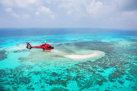 Ultimate Great Barrier Reef And Rainforest 45-minute Helicopter Tour - Port Augusta Accommodation 3