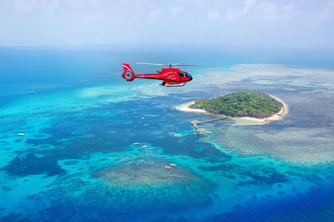 Ultimate Great Barrier Reef And Rainforest 45-minute Helicopter Tour - Port Augusta Accommodation 4
