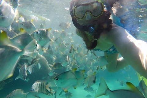 2-Day Moreton Island 4WD Camping Tour From Brisbane - Port Augusta Accommodation 0