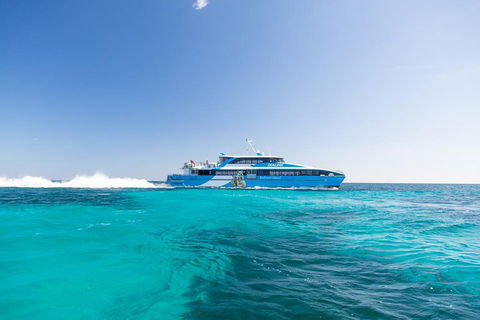 Rottnest Island All-Inclusive Grand Island Tour From Fremantle - Port Augusta Accommodation 0