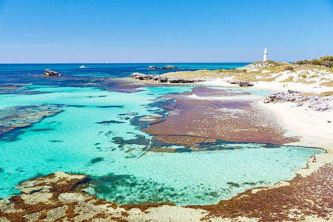Rottnest Island All-Inclusive Grand Island Tour From Fremantle - Port Augusta Accommodation 1