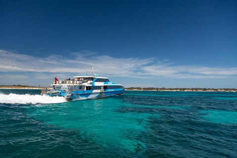 Rottnest Island All-Inclusive Grand Island Tour From Fremantle - Port Augusta Accommodation 3