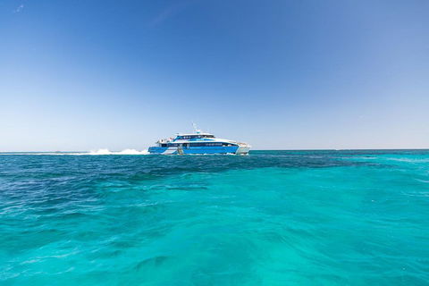 Rottnest Island Bike & Ferry Package From Fremantle - Port Augusta Accommodation 0