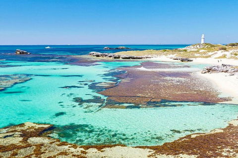 Rottnest Island Bike, Snorkel & Ferry Package From Perth - Port Augusta Accommodation 5