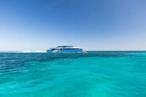 Rottnest Island Settlement Explorer Segway Package From Perth - Port Augusta Accommodation 1