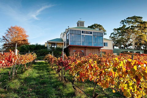 Adelaide Hills Food, Wine, Cheese, & Chocolate - Private Day Tour - Port Augusta Accommodation 3