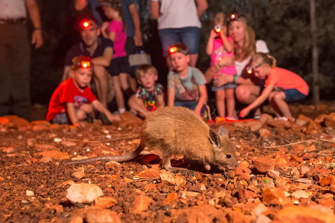 Alice Springs Desert Park Nocturnal Tour - Port Augusta Accommodation 1