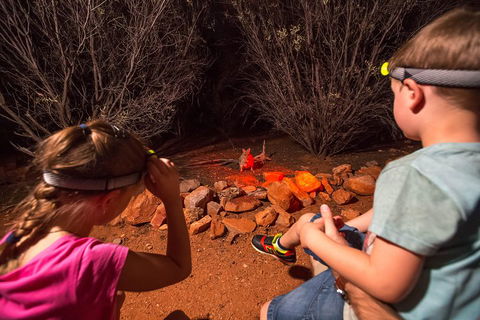 Alice Springs Desert Park Nocturnal Tour - Port Augusta Accommodation 4