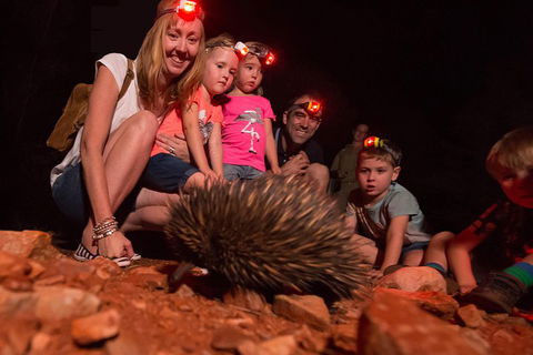 Alice Springs Desert Park Nocturnal Tour - Port Augusta Accommodation 5