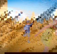 Full-Day Pinnacles Desert and Yanchep National Park Tour From Perth - Port Augusta Accommodation